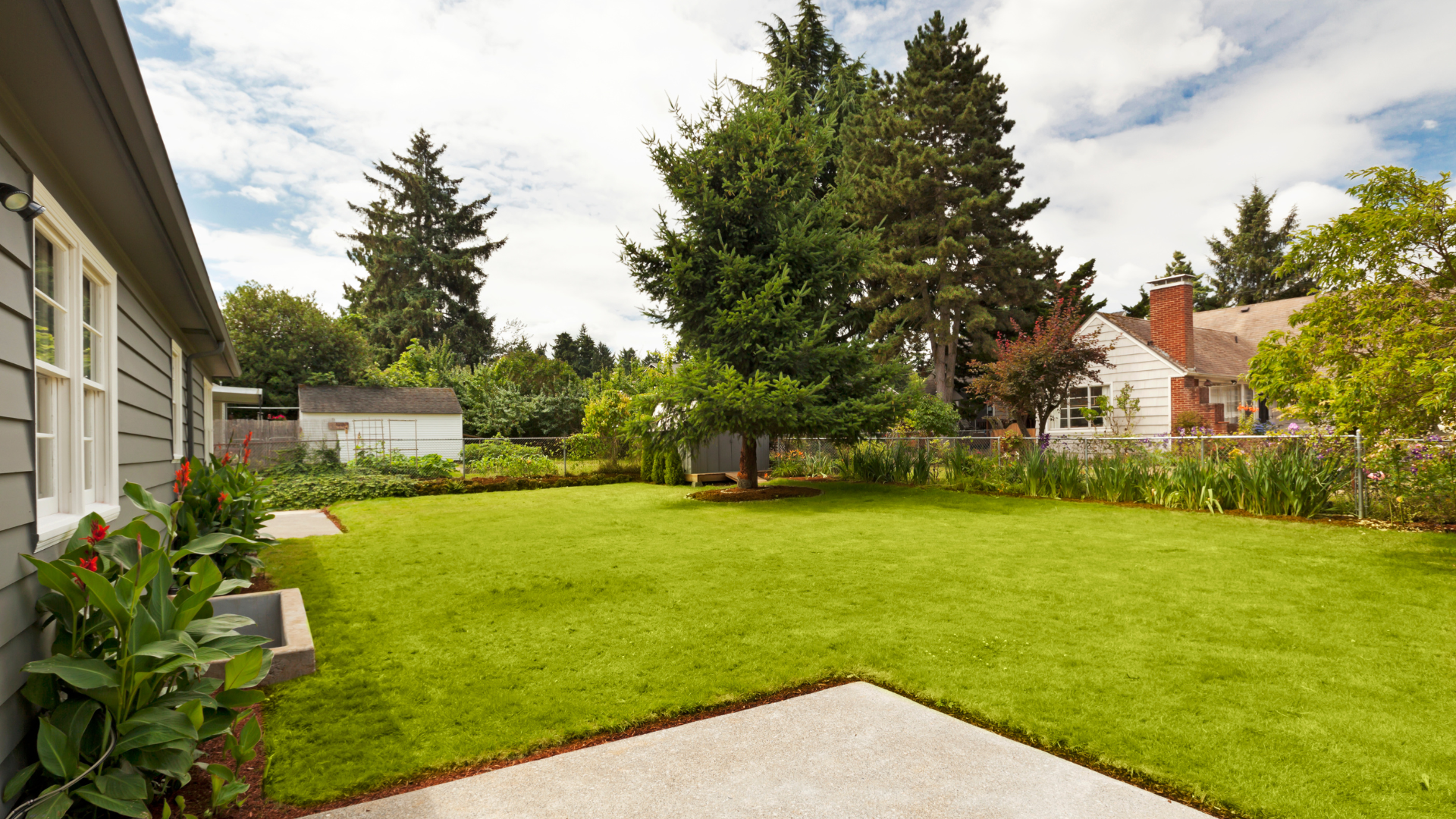 Renovated and aesthetically appealing backyard after pool removal